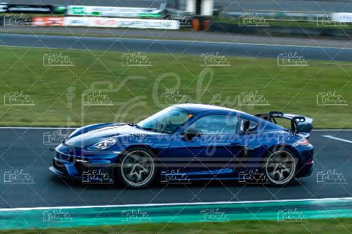 20260413-DSC_9727.webp