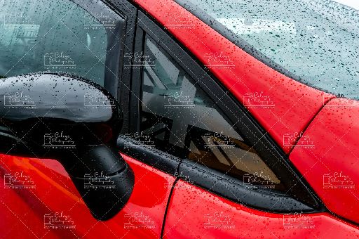 20260607-DSC_0869.webp